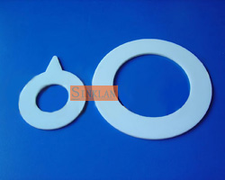 PTFE gasket