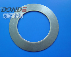 Expanded graphite cut gasket