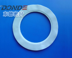 PTFE envelope gasket